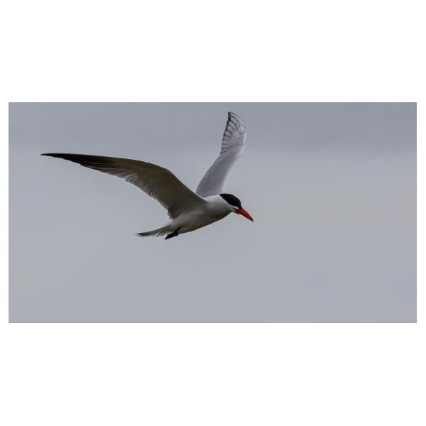 PHOTO84, CLUB, 84 , LUBERON